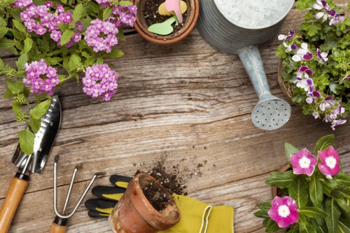 Selection of native plants for Twickenham landscaping