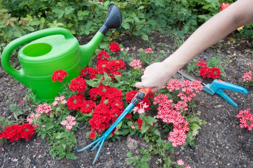 Gardener Twickenham team at work in a residential garden