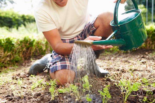 Gardener in Twickenham reviewing accessibility features on a device