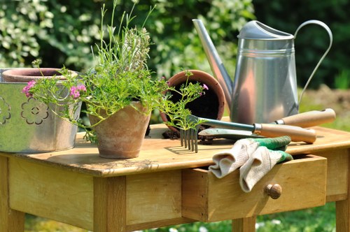 Array of personal protective equipment laid out for gardening tasks