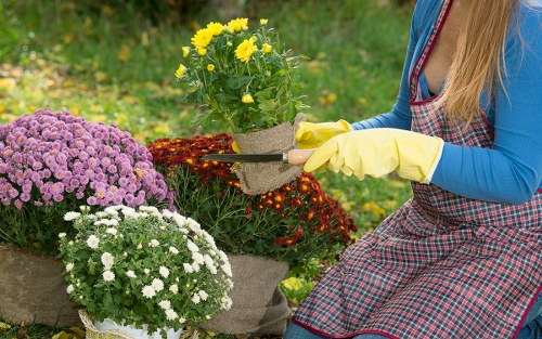 Eco-friendly landscaping practices in Twickenham
